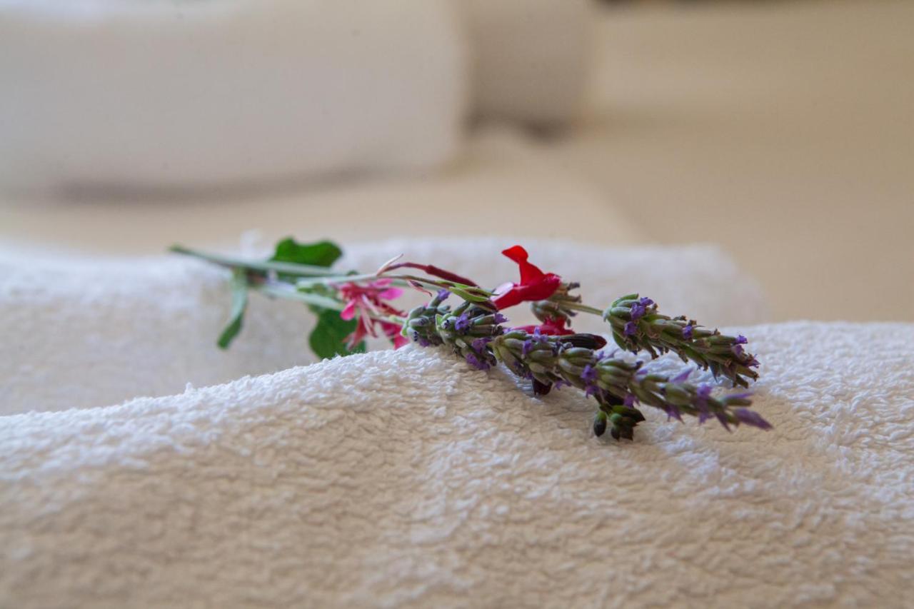 Hotel Loula Rooms And Apartments كامينا فورلا المظهر الخارجي الصورة